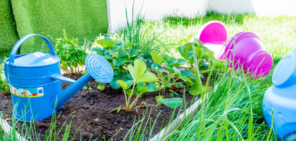 jardin et espace extérieur
