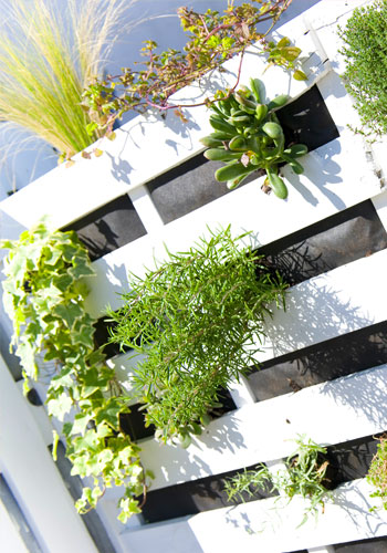activités jardinage et sensibilisation à la nature